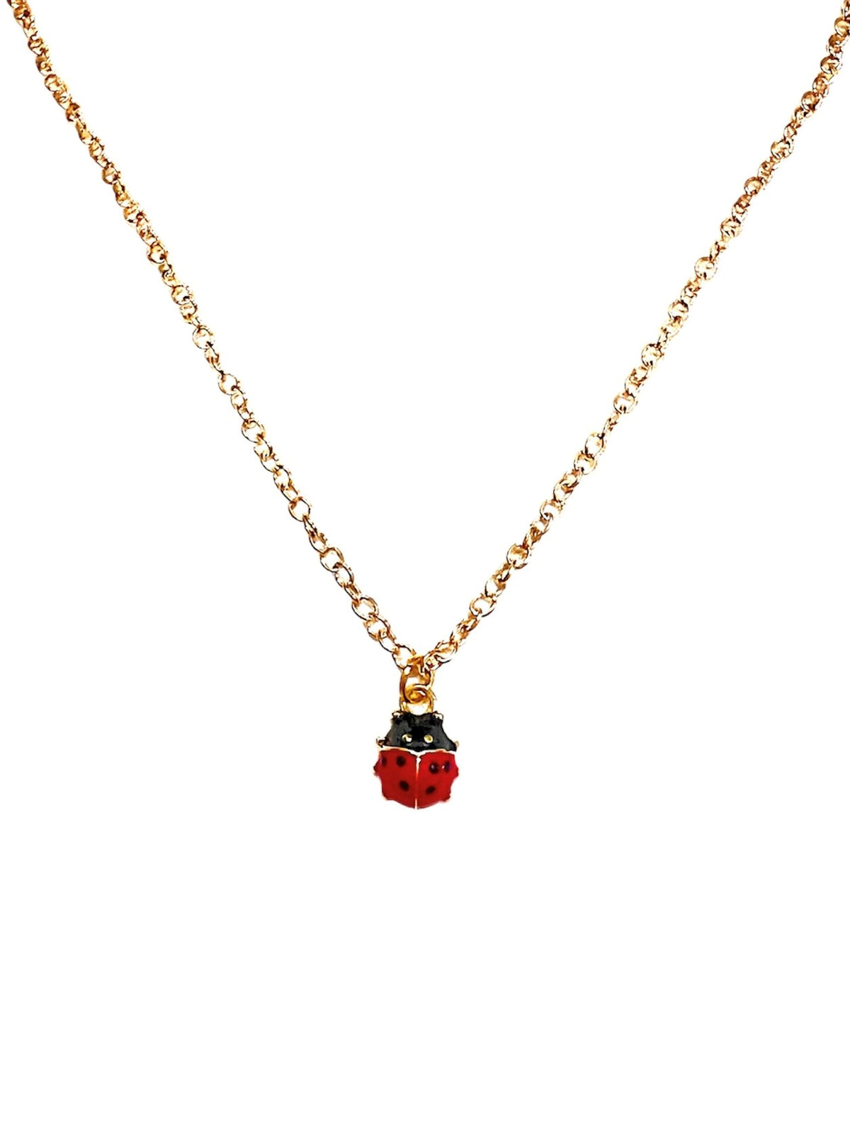Ladybug Message Necklace| you are Extraordinary