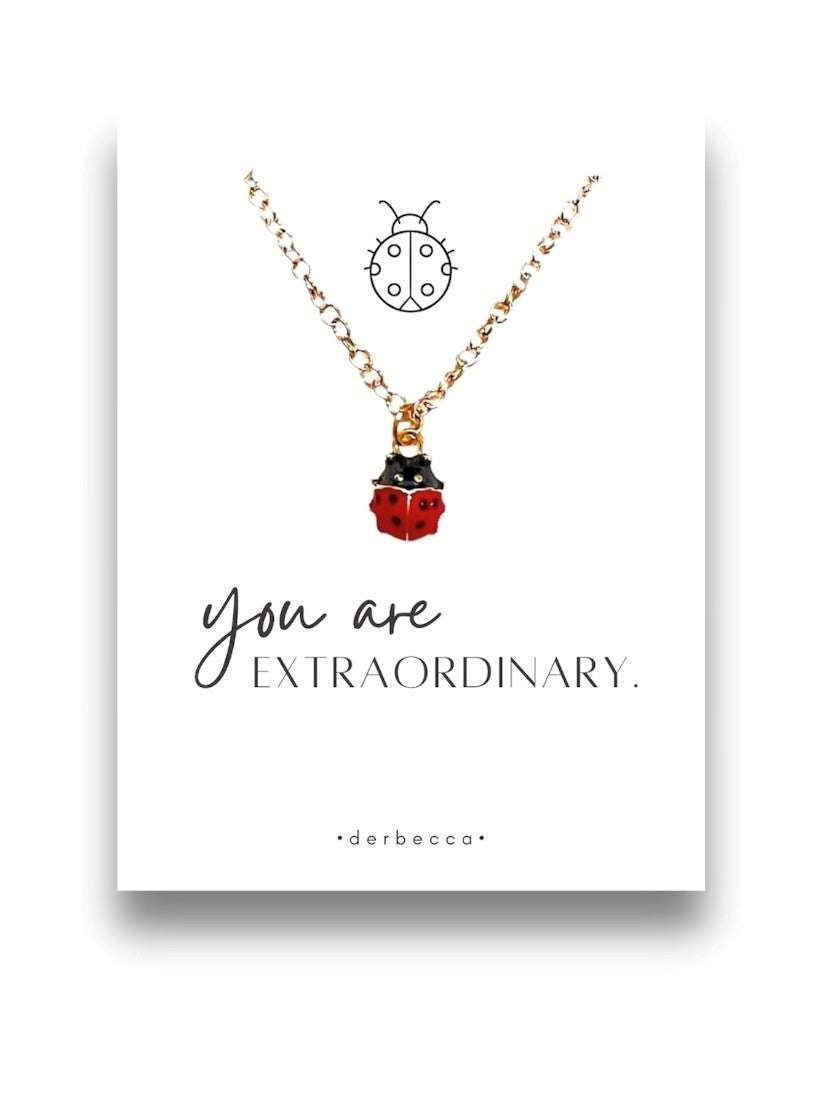 Ladybug Message Necklace| you are Extraordinary