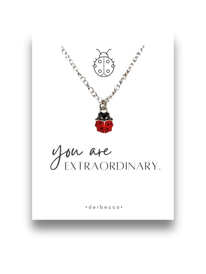 Ladybug Message Necklace| you are Extraordinary