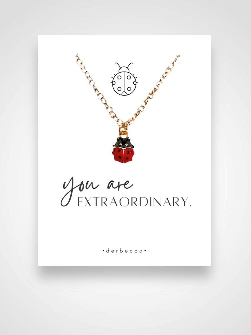 Ladybug Message Necklace| you are Extraordinary