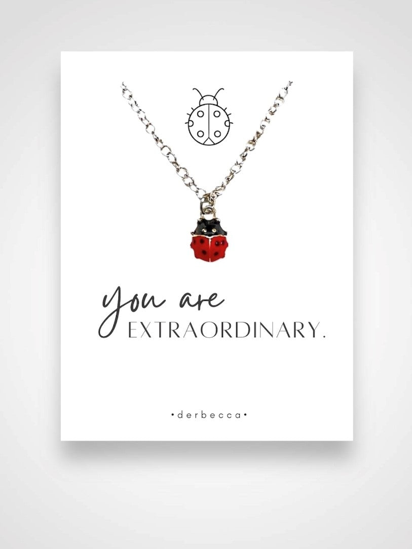 Ladybug Message Necklace| you are Extraordinary