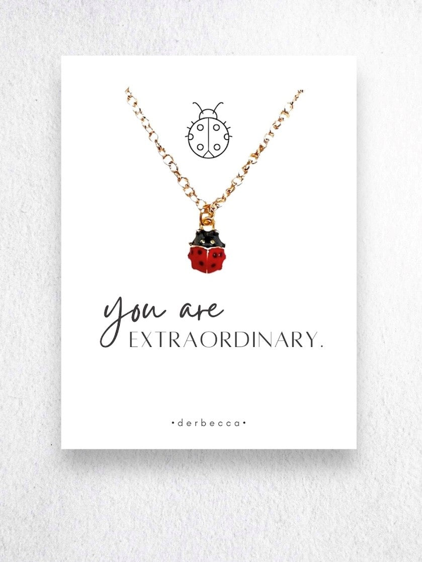 Ladybug Message Necklace| you are Extraordinary