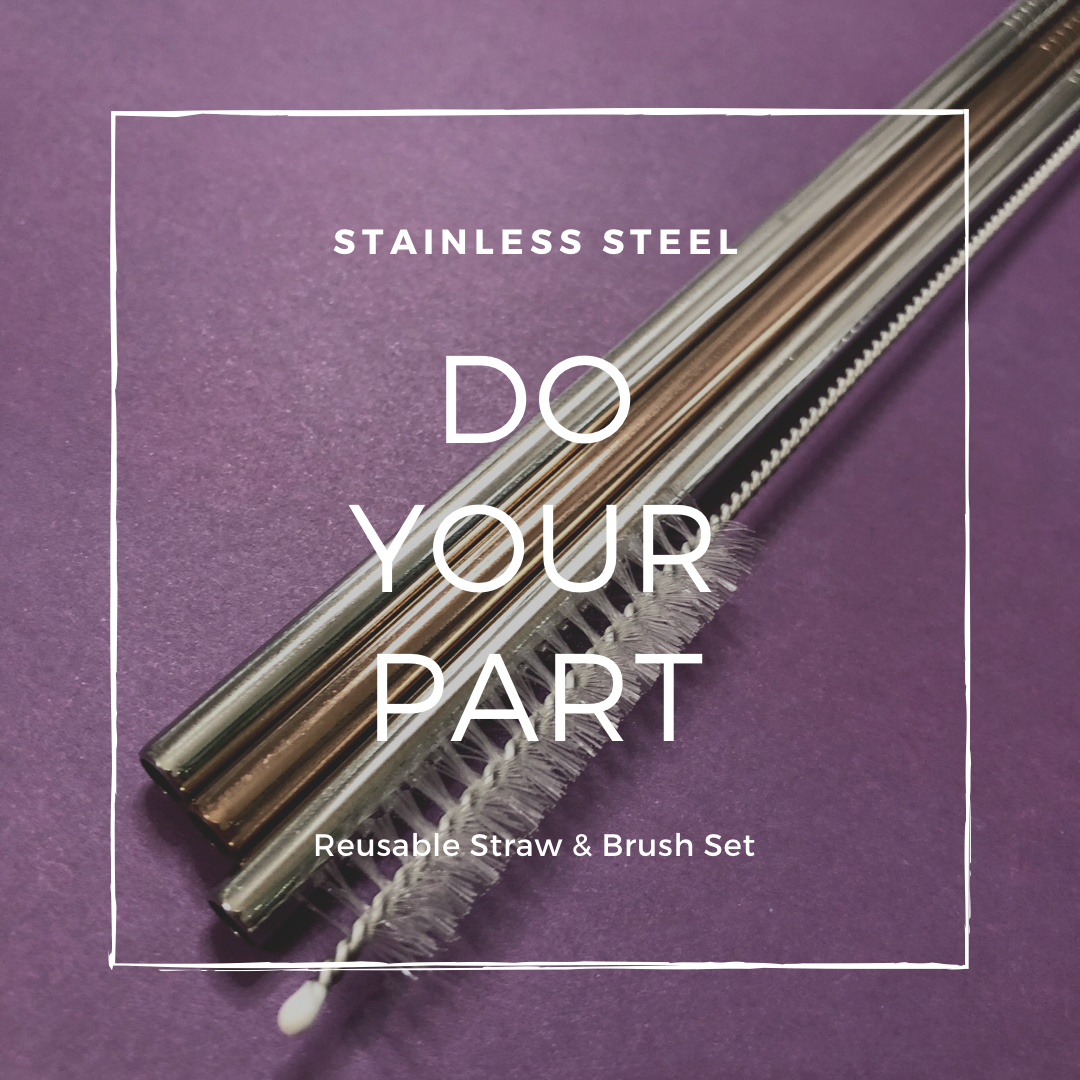 Do Your Part Reusable Straw & Brush Set Stainless Steel