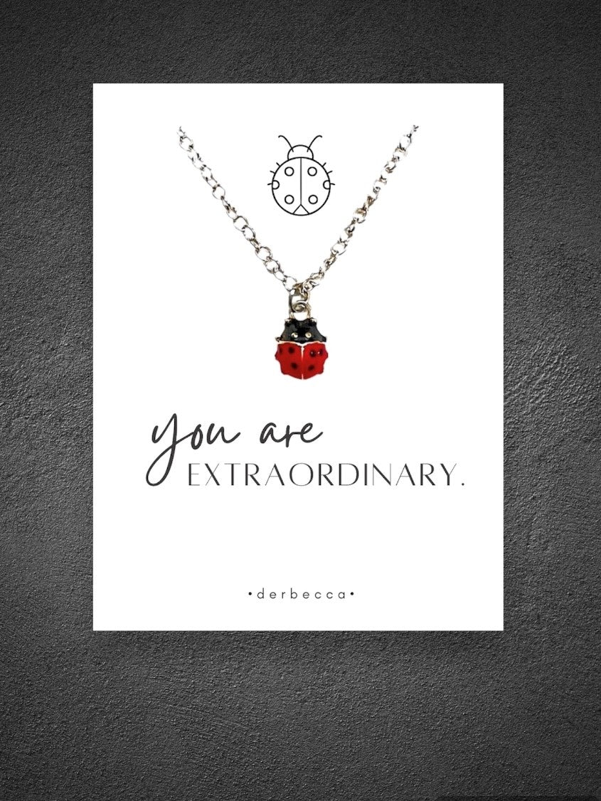 Ladybug Message Necklace| you are Extraordinary